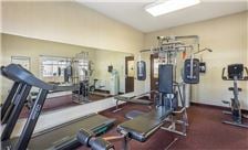 fitness