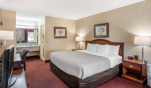 One King Bed