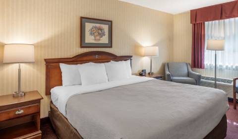 One King Bed