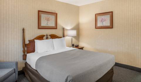 One Queen Bed