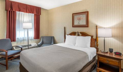One Queen Bed