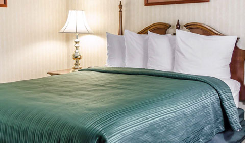 One King Bed