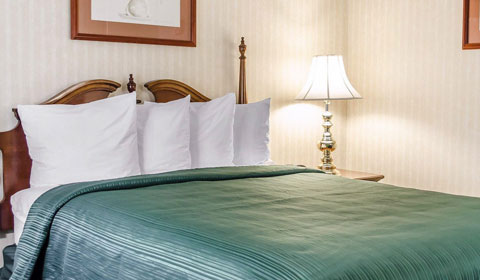 One Queen Bed - Handicapped