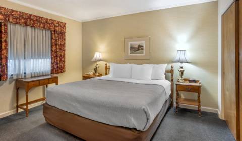Two Room Suite