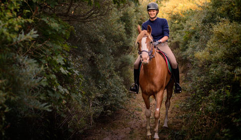 Horse Tours of Gettysburg