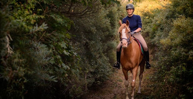 Horse Tours of Gettysburg